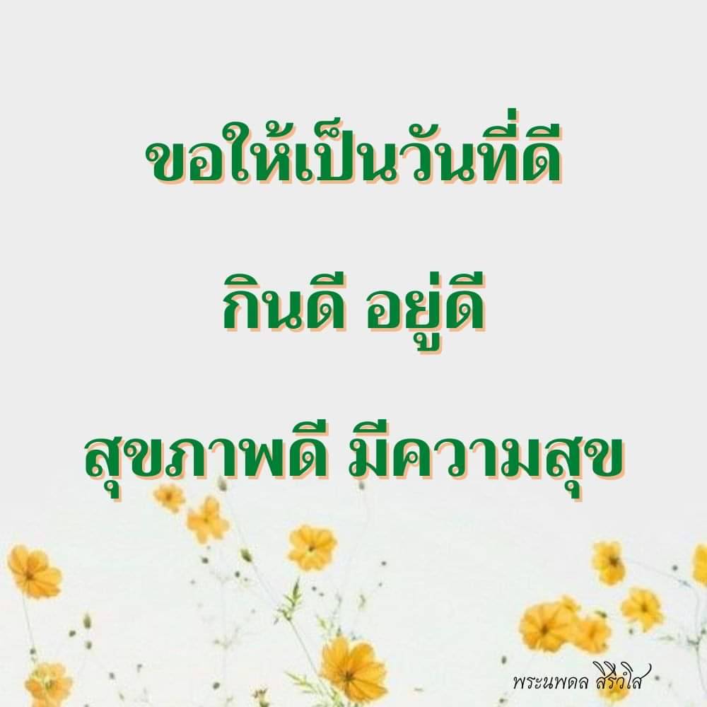 ภาพ No.6264:พระนพดล สิริวํโส