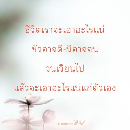 การ์ด No.8949:พระนพดล สิริวํโส