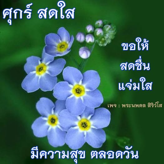 การ์ด No.14403:ภาพสวัสดียามเช้า