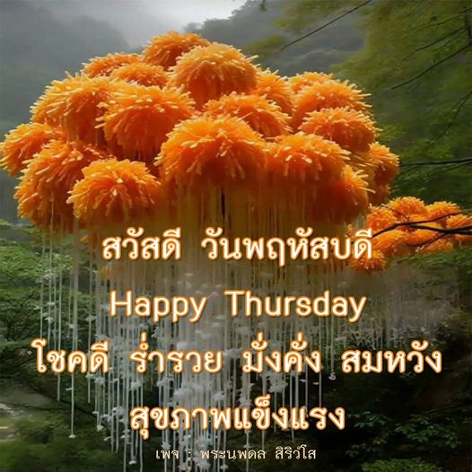 การ์ด No.8113:ภาพสวัสดียามเช้า