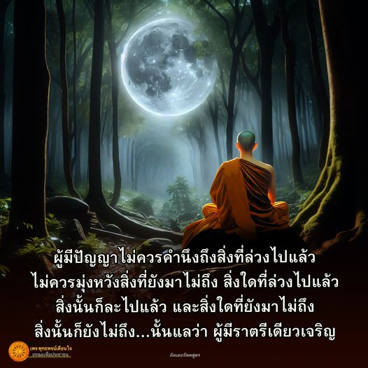 สำรวจคำสอนจากทเทกรัตตสูตรที่เน้นการใช้ปัญญาในการดำเนินชีวิต ไม่ให้ติดอยู่กับอดีตหรืออนาคต เพื่อความสุขและการมีชีวิตที่มีสติ
