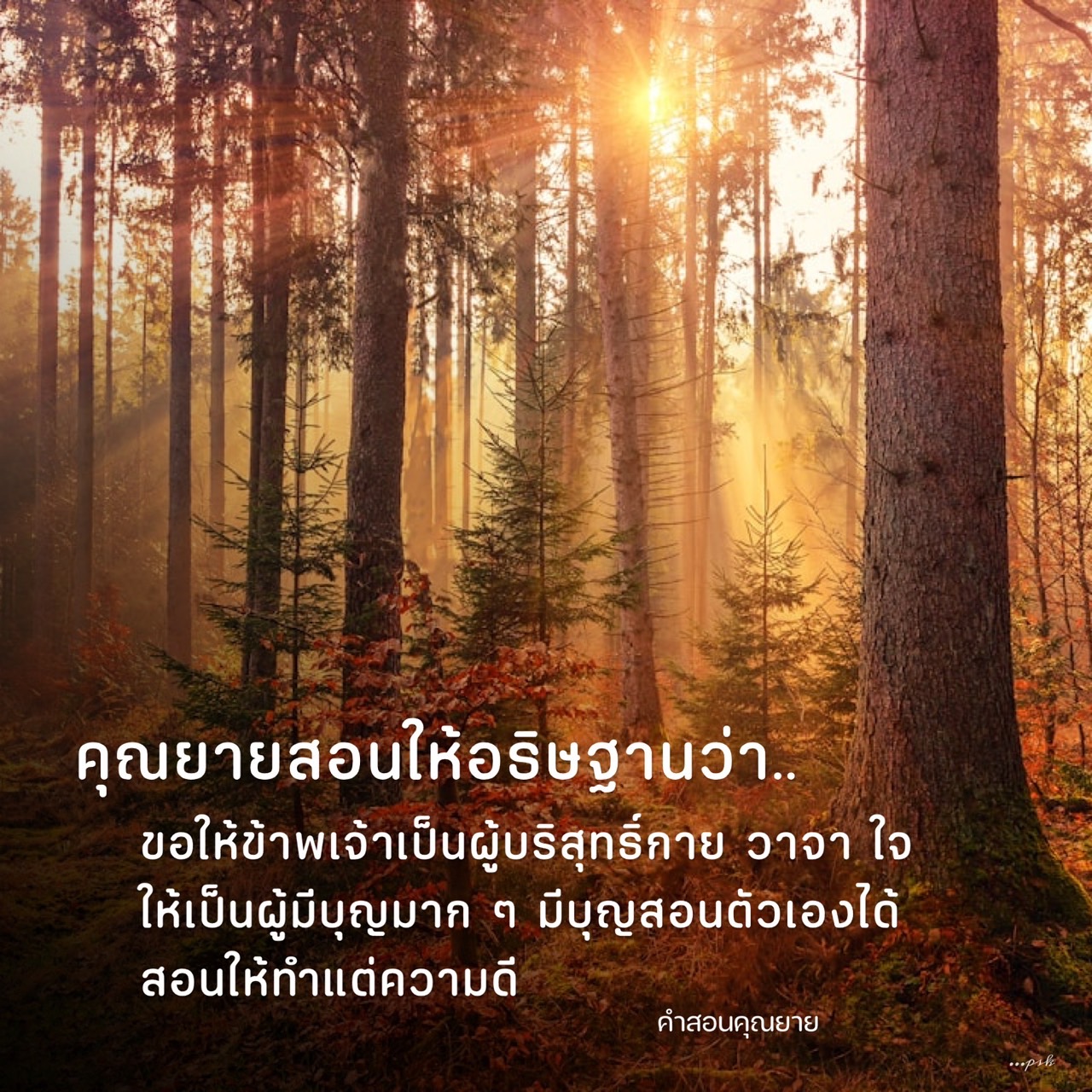 คำสอนคุณยาย: อธิษฐานเพื่อความบริสุทธิ์และบุญบารมี