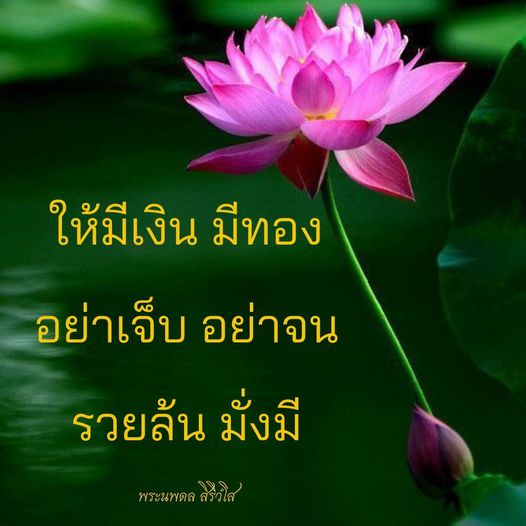 การ์ด No.8688:พระนพดล สิริวํโส