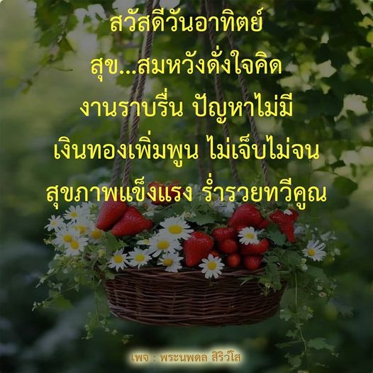 สวัสดีวันอาทิตย์! ขอให้ทุกท่านมีความสุข สมหวังในทุกเรื่อง งานราบรื่น ปัญหาไม่มี เงินทองเพิ่มพูน สุขภาพแข็งแรง ร่ำรวยทวีคูณ พร้อมแรงบันดาลใจจากเพจ พระนพดล สิริวโล