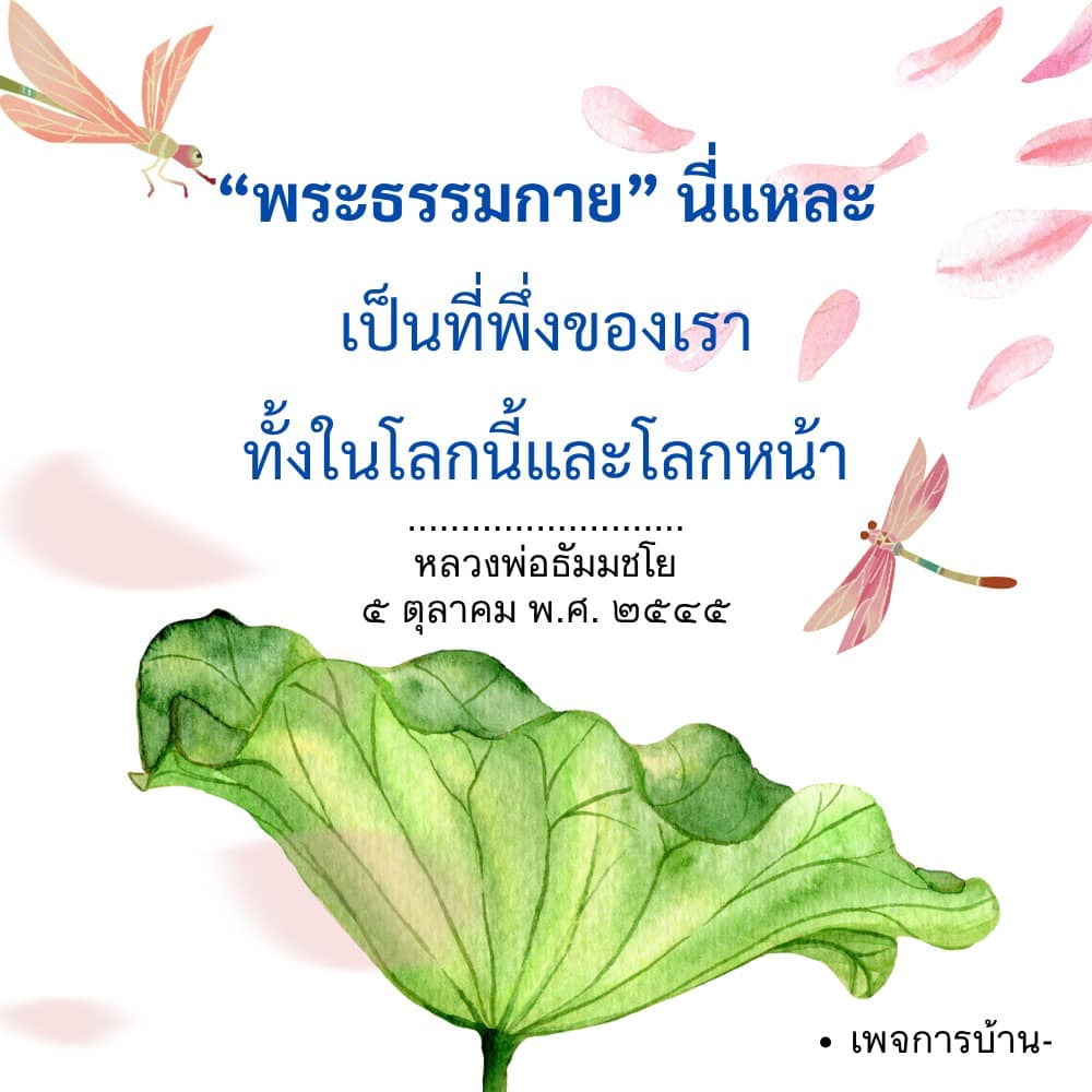ภาพ No.16543:ทั่วไป