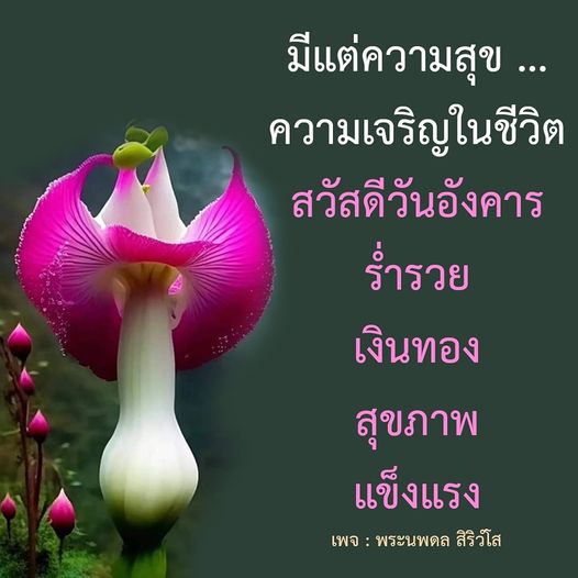 ค้นพบความสุขและความเจริญในชีวิตกับพระนพดล สิริวํโส เรียนรู้วิธีการสร้างความร่ำรวย เงินทอง และสุขภาพที่แข็งแรงในทุกวันอังคาร