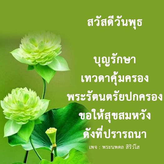 เข้าร่วมเฉลิมฉลองวันพุธด้วยการอธิษฐานขอพรจากพระรัตนตรัยและเทวดาที่คุ้มครอง เพื่อให้คุณมีความสุขสมหวังในสิ่งที่ปรารถนา ติดตามข่าวสารและคำสอนจากพระนพดล สิริวํโส