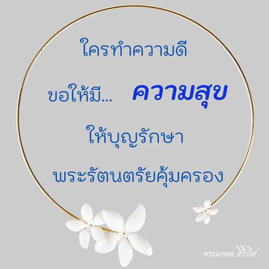 การ์ด No.9023:พระนพดล สิริวํโส