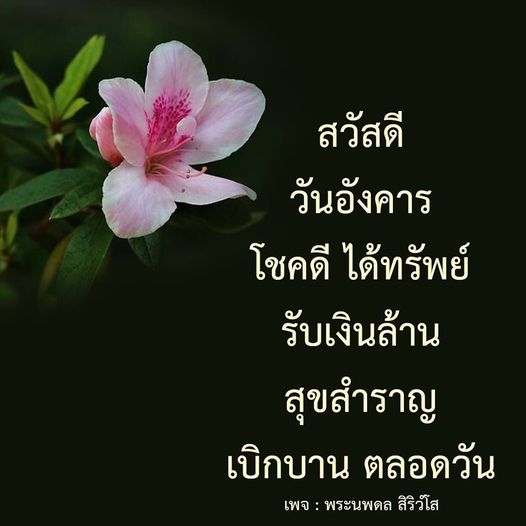 การ์ด No.11083:ภาพสวัสดียามเช้า