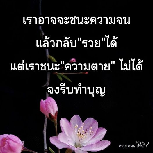 การ์ด No.9379:พระนพดล สิริวํโส