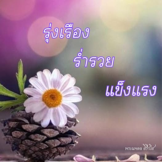 การ์ด No.12103:พระนพดล สิริวํโส