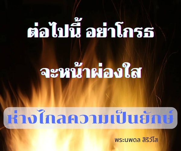 การ์ด No.11724:พระนพดล สิริวํโส