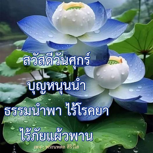 การ์ด No.10111:ภาพสวัสดียามเช้า