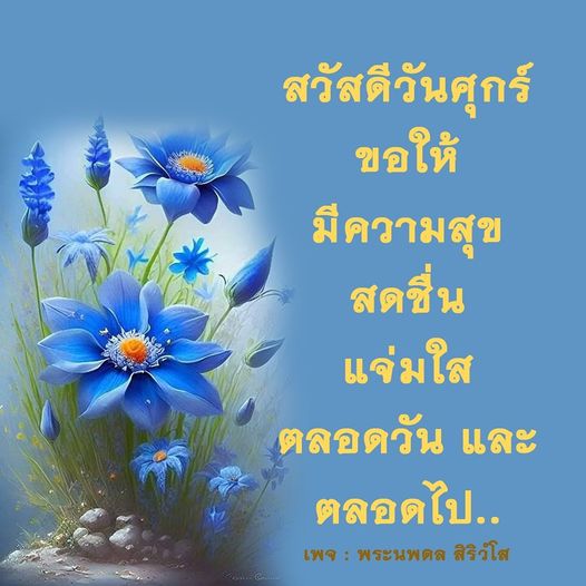 การ์ด No.8815:ภาพสวัสดียามเช้า