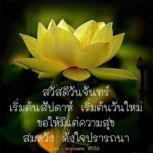 เริ่มต้นสัปดาห์ด้วยคำอวยพรจาก พระนพดล สิริวํโส ให้ความสุขและสมหวังให้กับทุกคนในวันจันทร์ พร้อมติดตามข่าวสารและกิจกรรมต่าง ๆ ได้ที่เพจนี้