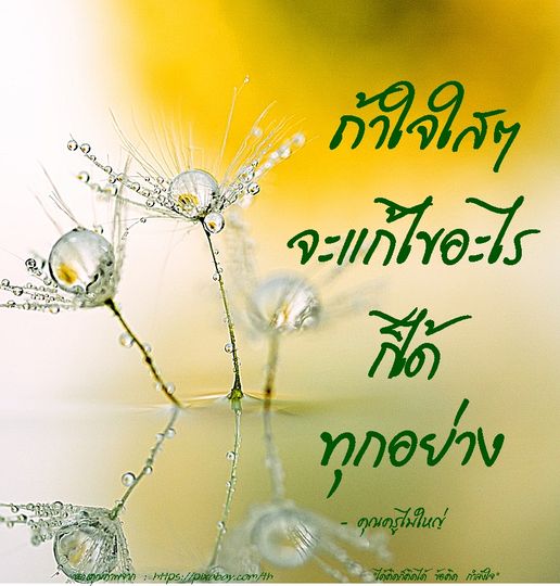 การ์ด No.10649:คำสอนหลวงพ่อธัมมชโย
