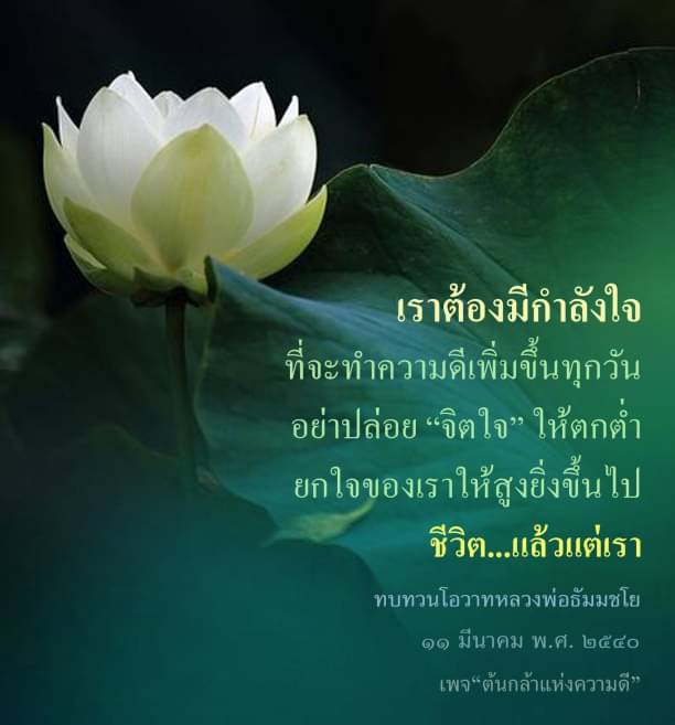 ค้นพบกำลังใจในการทำความดีทุกวันผ่านโอวาทหลวงพ่อธัมมชโย ที่จะเสริมสร้างจิตใจและยกระดับคุณภาพชีวิตของเรา ร่วมติดตามเพจ 'ต้นกล้าแห่งความดี' สู่การพัฒนาตนเองทางด้านจิตวิญญาณ