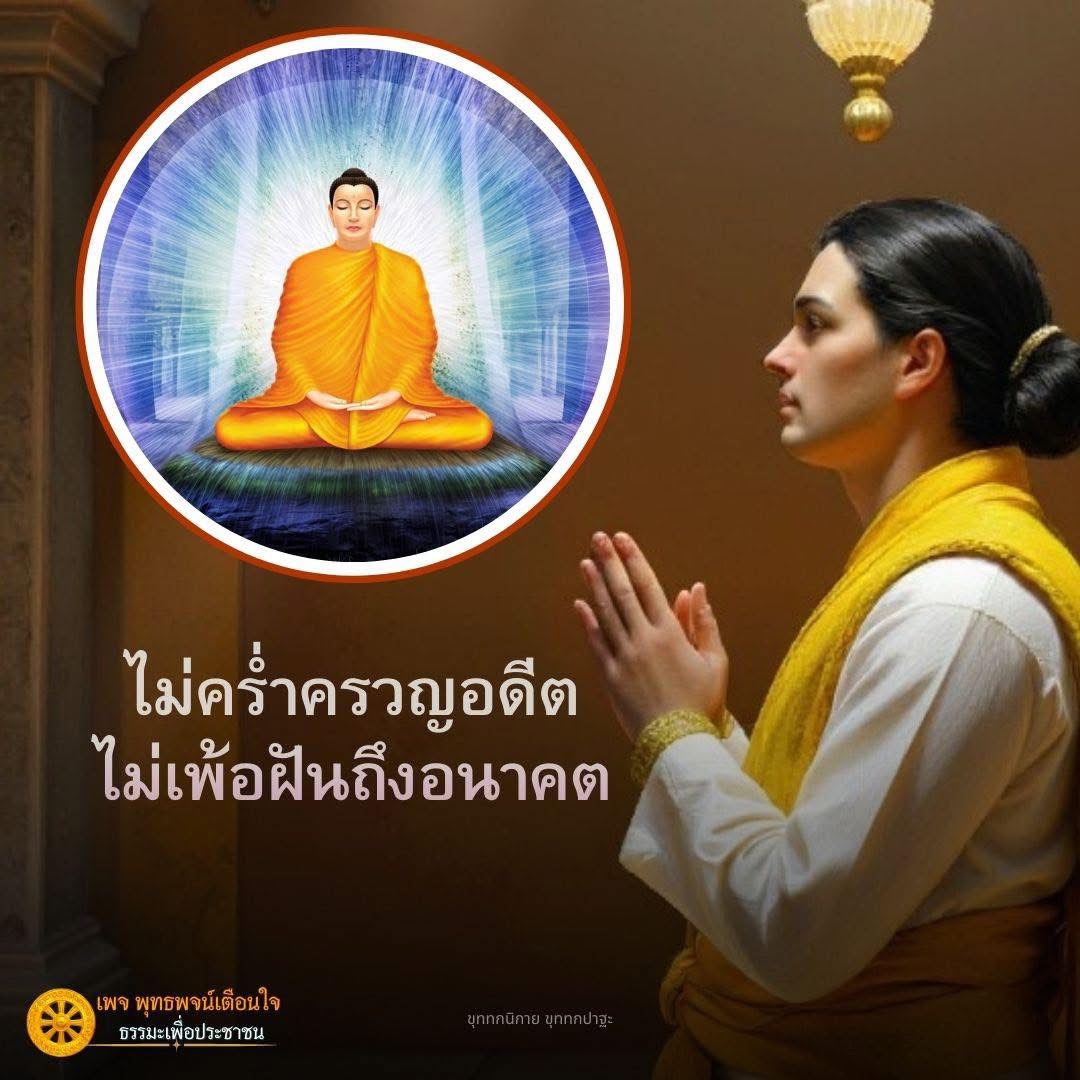 ภาพ No.16853:ทั่วไป