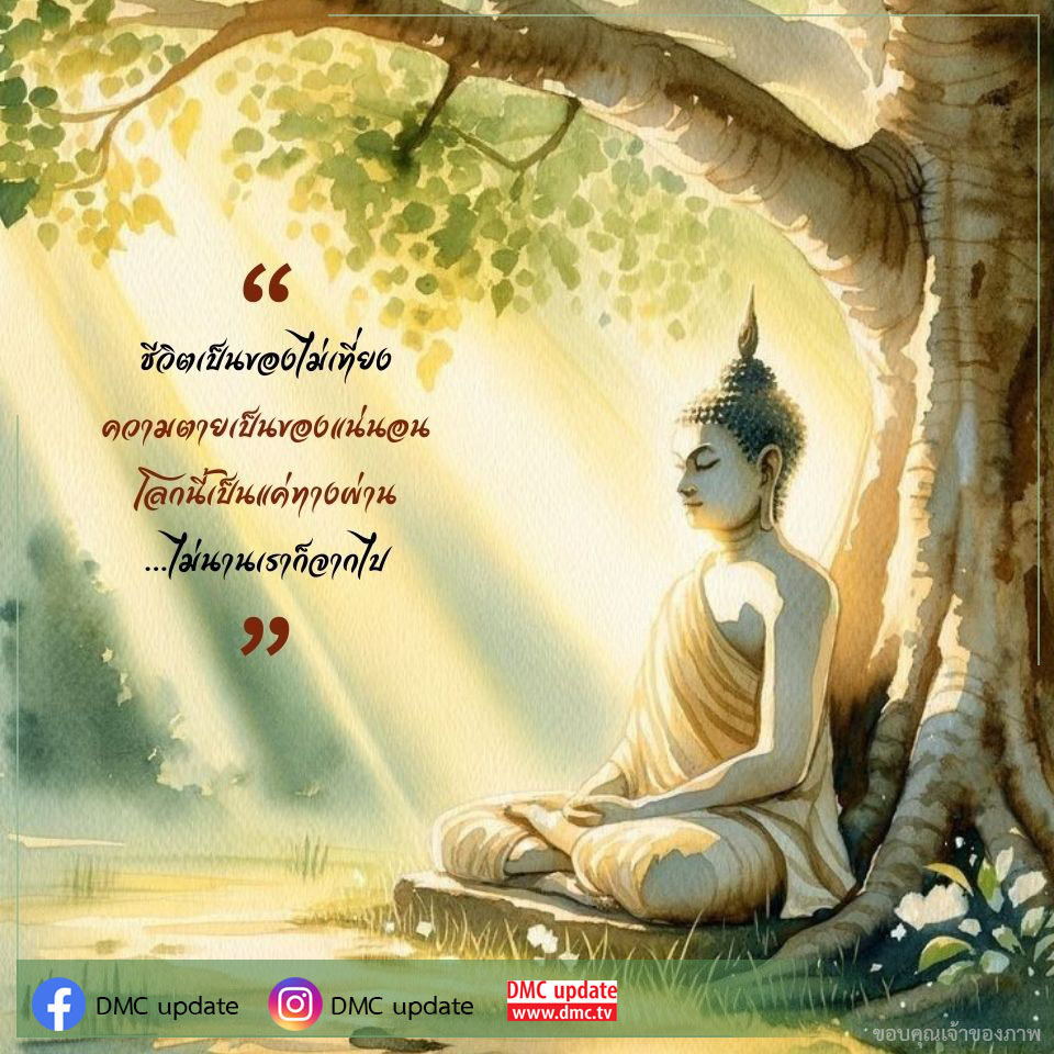 สำรวจแนวคิดเกี่ยวกับชีวิตและความตาย พร้อมแนะนำวิธีการใช้ชีวิตอย่างมีความหมายในโลกที่เปลี่ยนแปลงอย่างรวดเร็ว ผ่านการอัปเดตจาก DMC และการมองโลกในมุมใหม่