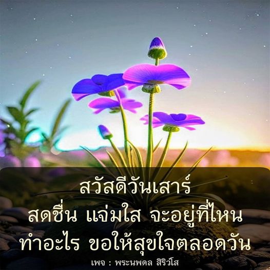 การ์ด No.7708:ภาพสวัสดียามเช้า