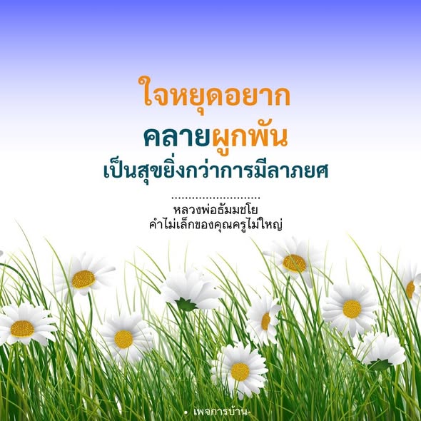ภาพ No.18084:ทั่วไป
