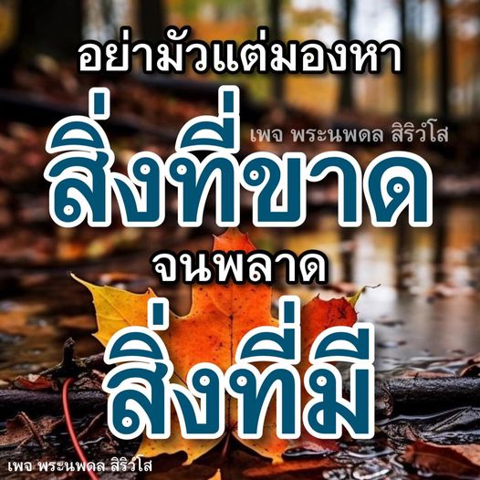 การ์ด No.10840:พระนพดล สิริวํโส