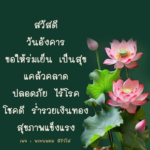 ร่วมส่งความสุขในวันอังคารกับพระนพดล สิริวํโส ขอให้ทุกท่านมีความร่มเย็น ปลอดภัย ไร้โรค และร่ำรวยเงินทอง สุขภาพแข็งแรงตลอดไป
