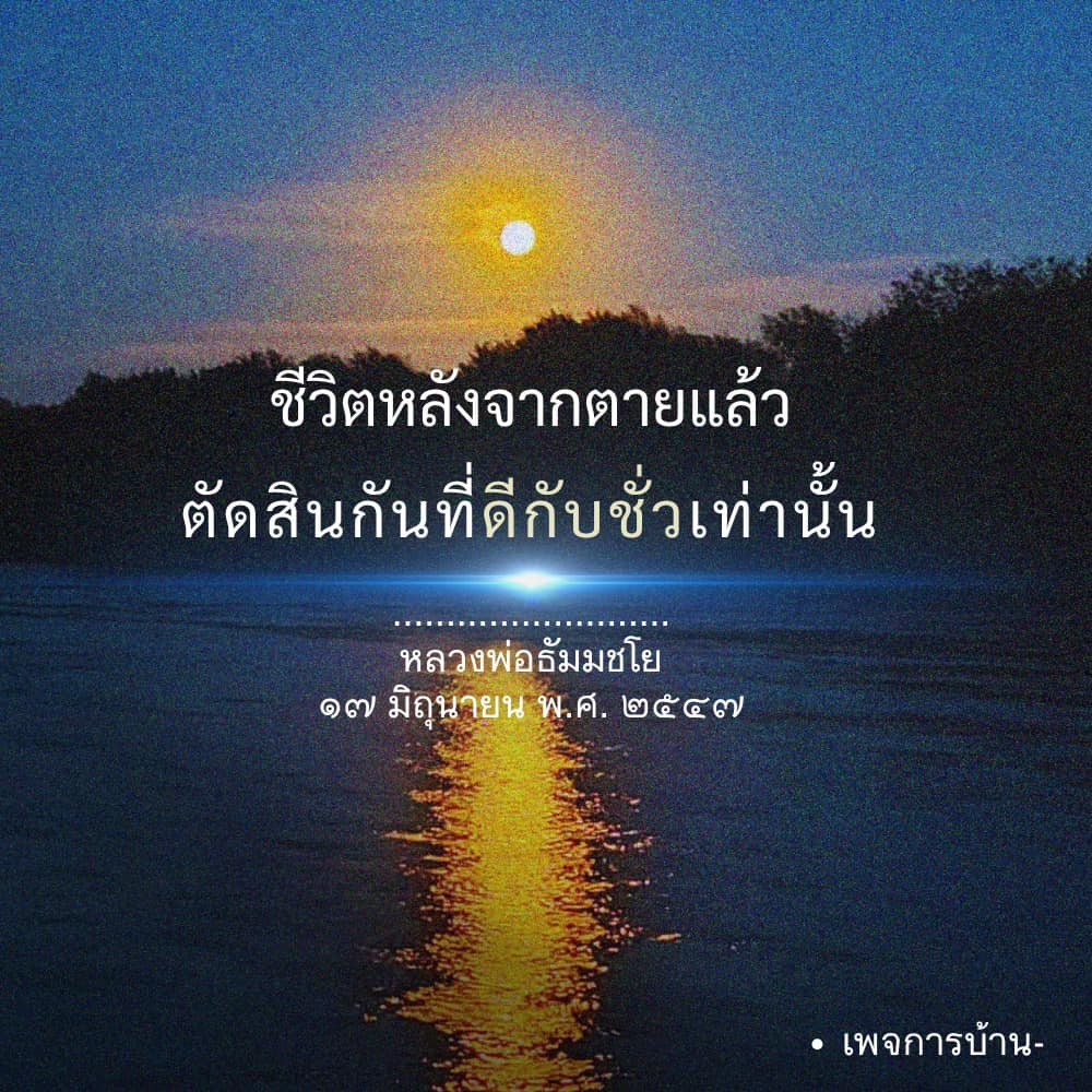 ภาพ No.16619:ทั่วไป