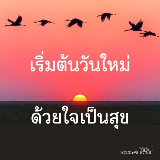 การ์ด No.10162:ภาพสวัสดียามเช้า