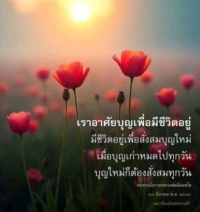 เรียนรู้การสั่งสมบุญใหม่ทุกวันเพื่อชีวิตที่มีความหมายและดีขึ้น ผ่านโอวาทของหลวงพ่อธัมมชโย และร่วมเป็นส่วนหนึ่งกับเพจ 'ต้นกล้าแห่งความดี' เพื่อสร้างสรรค์สิ่งดีๆ ในชีวิต