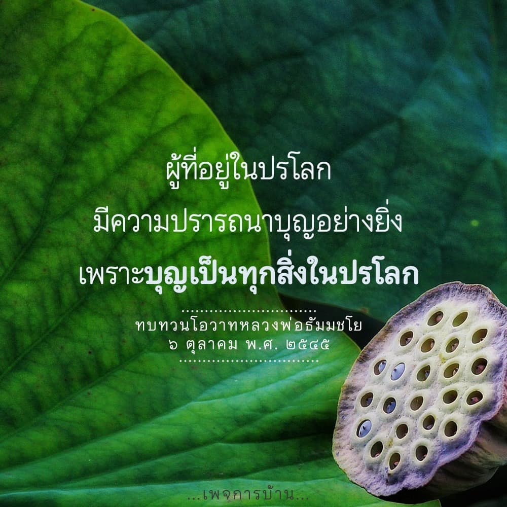 สำรวจความปรารถนาบุญในปรโลกและทบทวนโอวาทจากหลวงพ่อธัมมชโย วันที่ 6 ตุลาคม พ.ศ. 2545 เพื่อเสริมสร้างความเข้าใจเกี่ยวกับบุญและการทำบุญในชีวิตประจำวัน