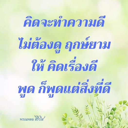 การ์ด No.12146:พระนพดล สิริวํโส