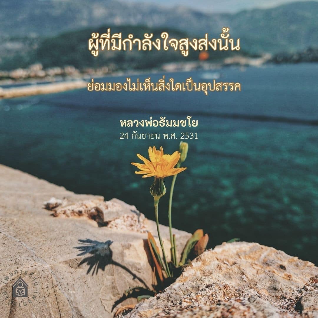 การ์ด No.11525:คำสอนหลวงพ่อธัมมชโย