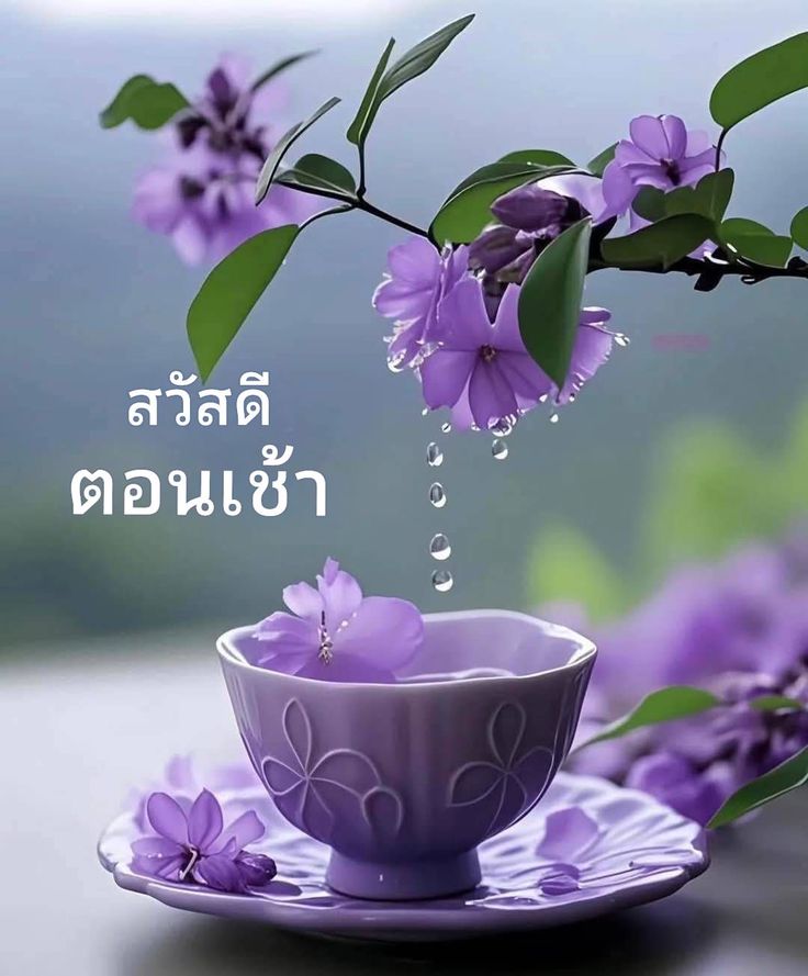 ภาพ No.16251:ภาพสวัสดียามเช้า