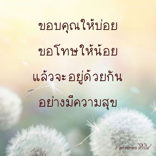 การ์ด No.8488:พระนพดล สิริวํโส