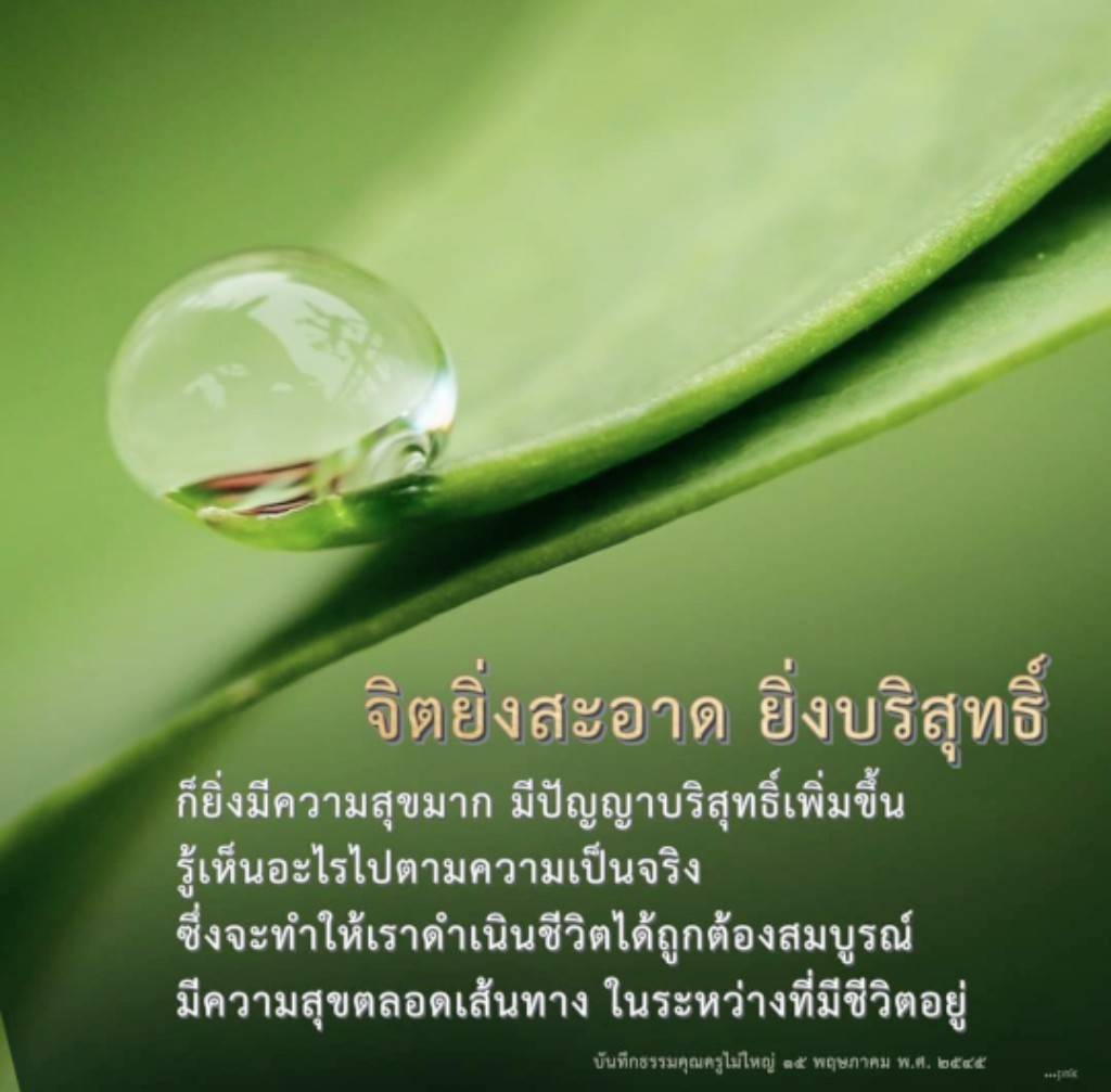 ค้นพบความสุขและปัญญาบริสุทธิ์จากการทำจิตให้สะอาด ผ่านแนวทางการดำเนินชีวิตที่ถูกต้องและสมบูรณ์ ตามหลักธรรมของคุณครูไม่ใหญ่