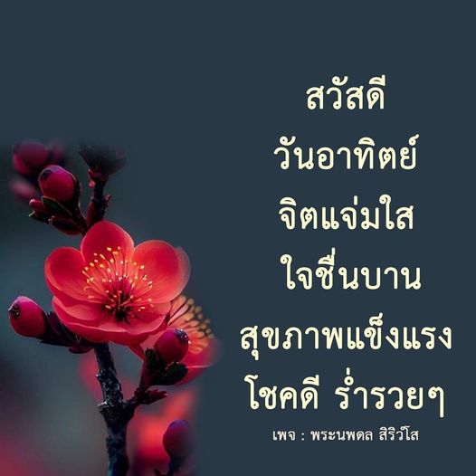 การ์ด No.9486:ภาพสวัสดียามเช้า