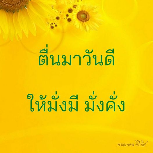 การ์ด No.8696:พระนพดล สิริวํโส