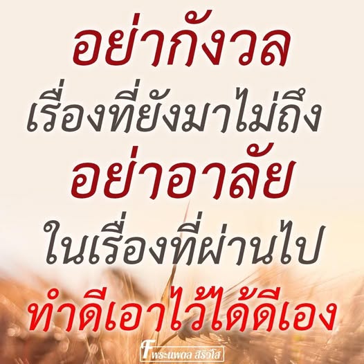 การ์ด No.14601:พระนพดล สิริวํโส