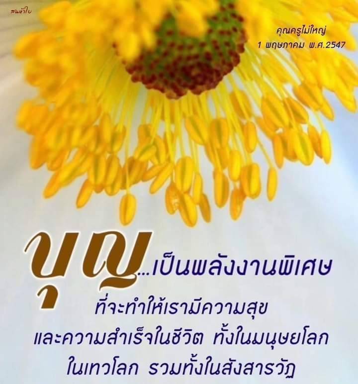 เรียนรู้เกี่ยวกับแนวคิดของคุณครูไม่ใหญ่ในวันที่ 1 พฤษภาคม พ.ศ.2547 ที่ชี้ให้เห็นถึงพลังงานพิเศษของบุญ ที่สามารถนำพาเราไปสู่ความสุขและความสำเร็จในชีวิต ทั้งในมนุษยโลกและเทวโลก รวมถึงการเข้าใจในสังสารวัฏ