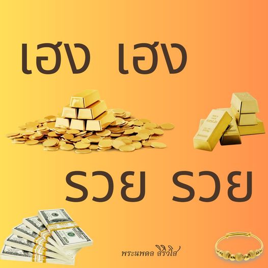 การ์ด No.9978:พระนพดล สิริวํโส