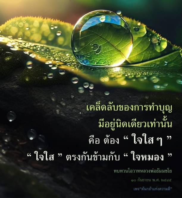 ค้นพบเคล็ดลับการทำบุญที่แท้จริงด้วย 'ใจใส ๆ' ซึ่งตรงกันข้ามกับ 'ใจหมอง' ผ่านการทบทวนโอวาทจากหลวงพ่อธัมมชโยในวันที่ 10 กันยายน พ.ศ. 2555 ที่เพจ 'ต้นกล้าแห่งความดี'