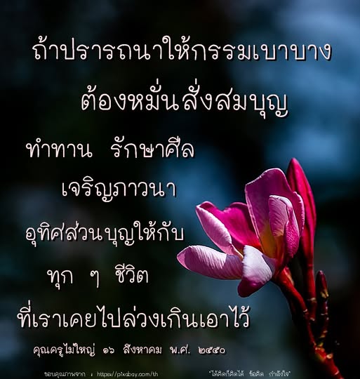 เรียนรู้วิธีลดกรรมและสั่งสมบุญผ่านการทำทาน รักษาศีล และเจริญภาวนา พร้อมอุทิศส่วนบุญให้กับทุกชีวิตที่เราเคยล่วงเกิน เพื่อให้ชีวิตมีความสงบและสุขภาพจิตที่ดี