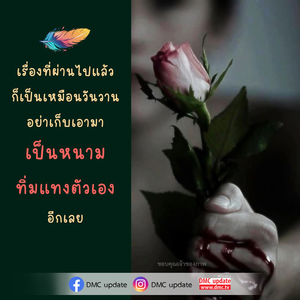 สำรวจการปล่อยวางเรื่องราวในอดีตและการมองไปข้างหน้าใน DMC Update ที่จะช่วยให้คุณมีความสุขและชีวิตที่ดีขึ้น โดยไม่ต้องให้ความเจ็บปวดในอดีตมาทิ่มแทงจิตใจ
