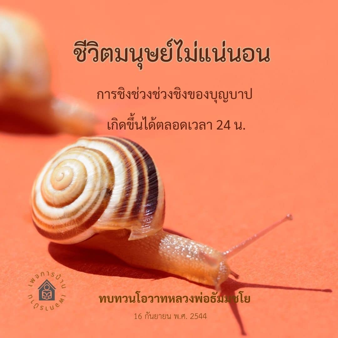 สำรวจความไม่แน่นอนในชีวิตมนุษย์และการชิงช่วงบุญบาปที่เกิดขึ้นตลอด 24 ชั่วโมง พร้อมทบทวนโอวาทจากหลวงพ่อธัมมชโย เพื่อเข้าใจถึงความสำคัญของการทำบุญและการหลีกเลี่ยงบาปในชีวิตประจำวัน.