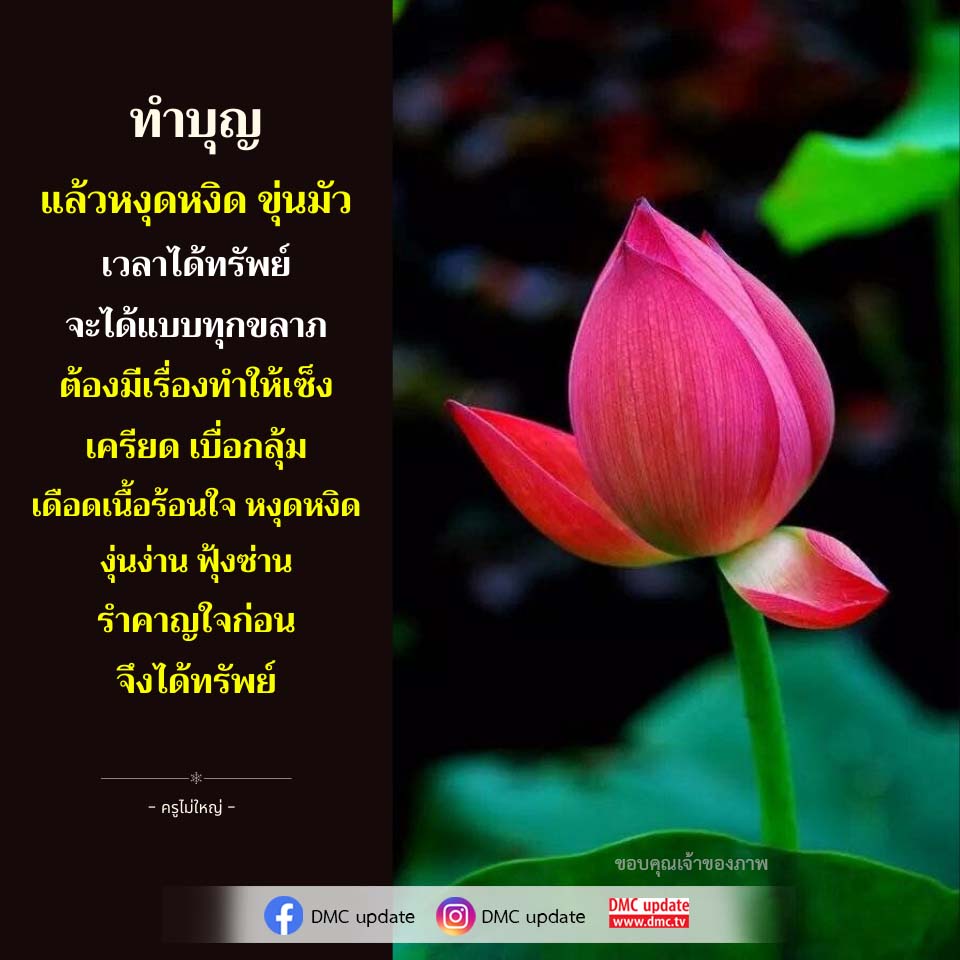 ภาพ No.16817:ทั่วไป