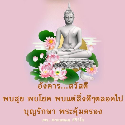 การ์ด No.8737:ภาพสวัสดียามเช้า