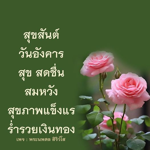 การ์ด No.11701:ภาพสวัสดียามเช้า