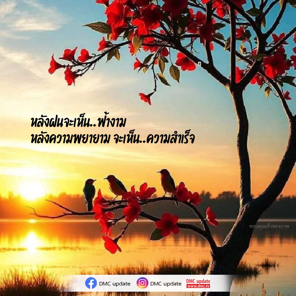 หลังฝนจะเห็นฟ้างาม: เส้นทางสู่ความสำเร็จ