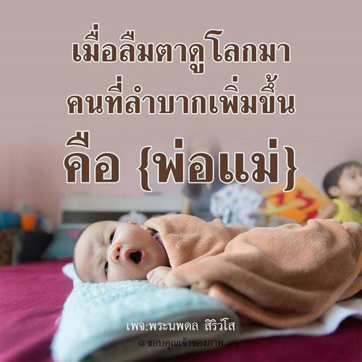 การ์ด No.8512:พระนพดล สิริวํโส